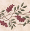 Flower Border