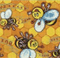 Fly Buzz Border