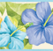 Daizy Border