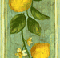 Lemon Border